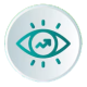 vision